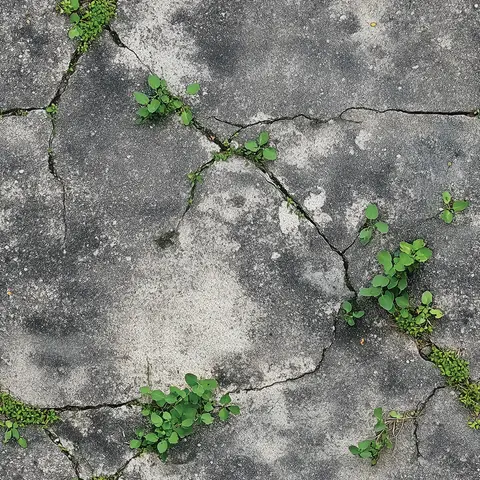 Edirne Koleksiyonu Beton duvar kağıdı, EDK-BETON-049