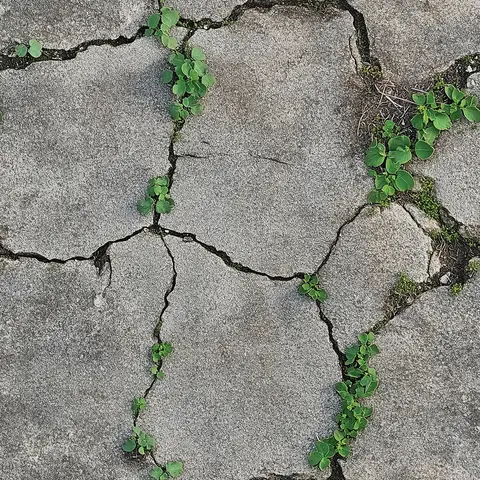 Edirne Koleksiyonu Beton duvar kağıdı, EDK-BETON-050