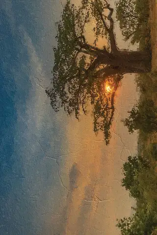 Edirne Şehir duvar kağıdı, EDK-TABLO-SEHIR-032