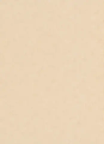 Erismann Basixs duvar kağıdı, 6488-14