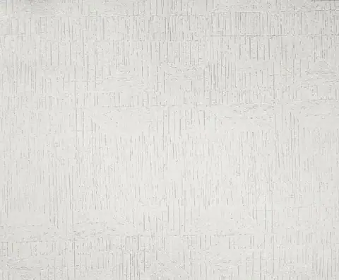 Ottimo Moon duvar kağıdı, 2003-1