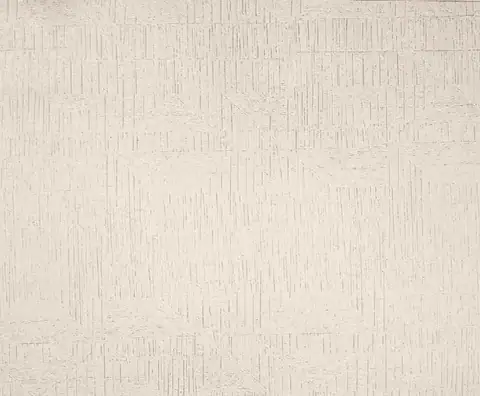 Ottimo Moon duvar kağıdı, 2003-4