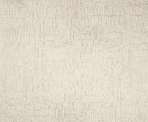 Ottimo Moon duvar kağıdı, 2003-5