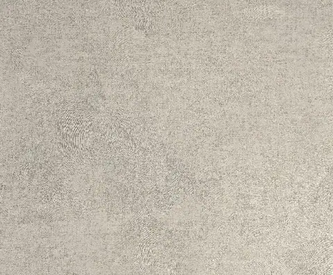 Ottimo Moon duvar kağıdı, 2004-4