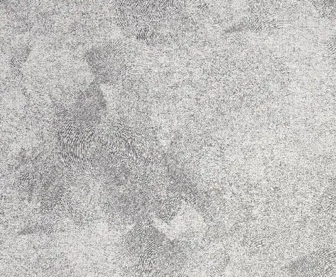 Ottimo Moon duvar kağıdı, 2004-8