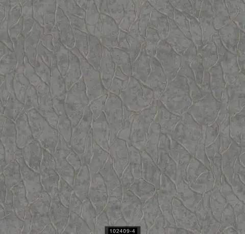 Ravena Vira duvar kağıdı, 102409-4